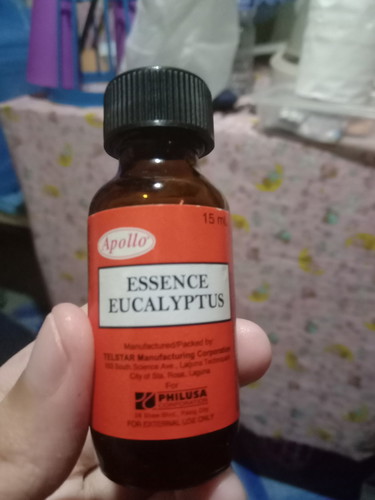 essence eucalyptus