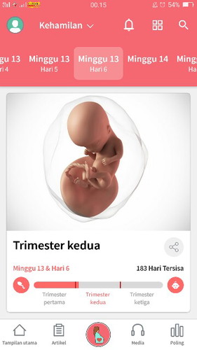apa yg dirasa?