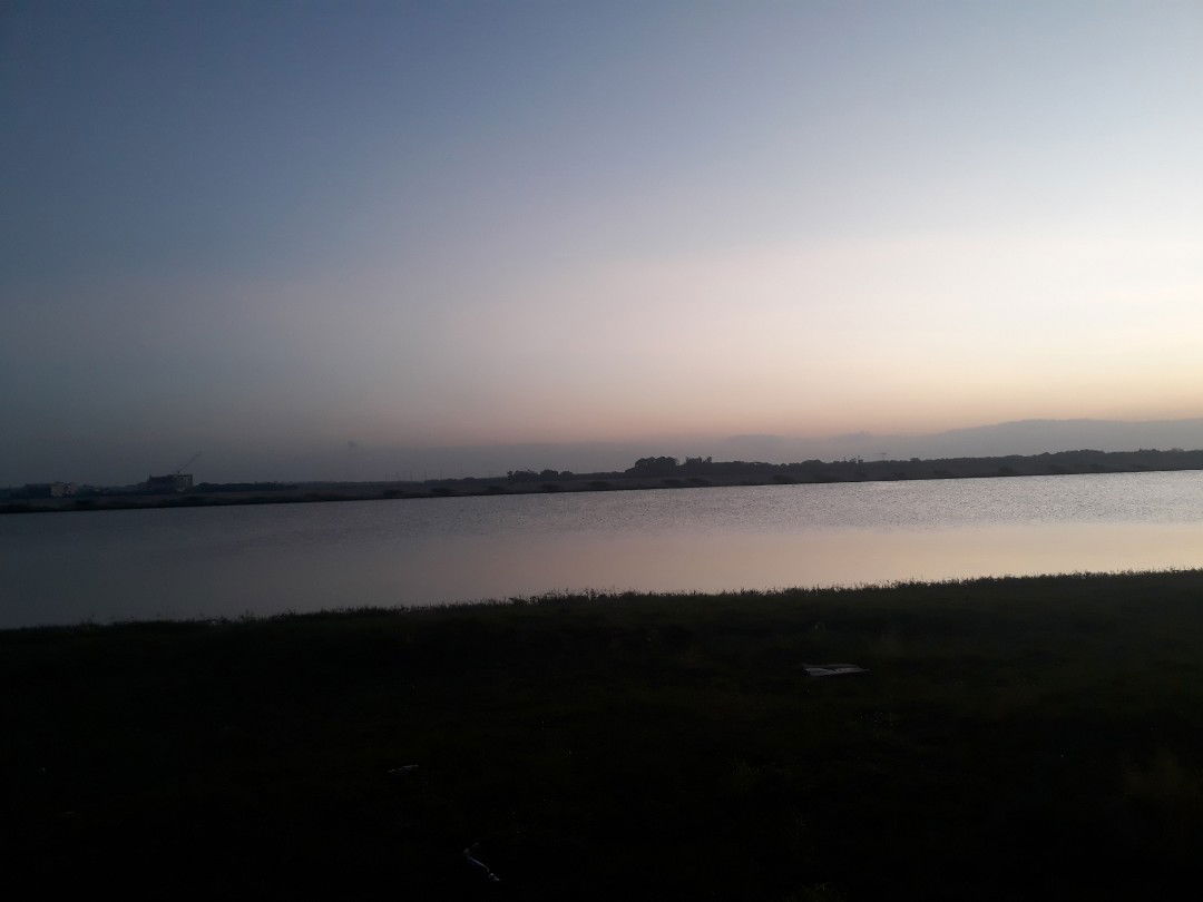 Nadrul Radzi profile icon