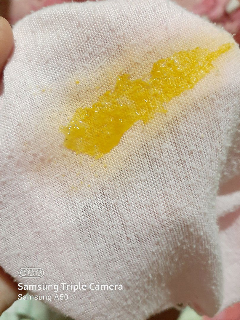 pup bayi kuning mengntal