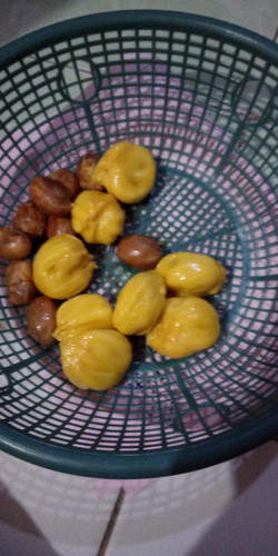 pengen cempedak