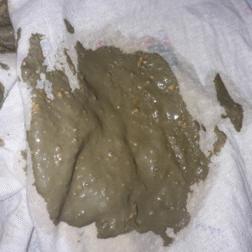 กินนมผง