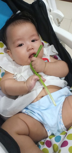 มากินผักกัน
