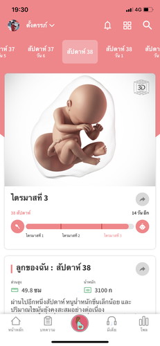 ทีมมิถุนา