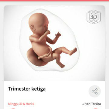 Usia Kehamilan 40 minggu