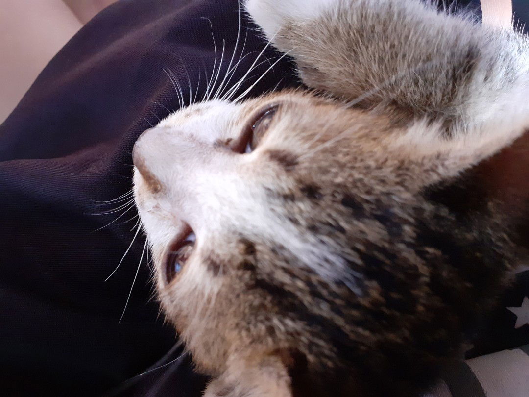 พิ้งกี้ profile icon