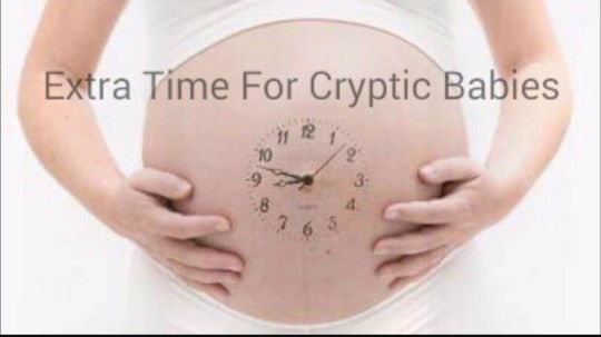 Cristina Palmes profile icon