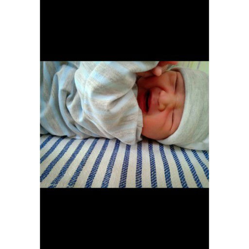 wilona sari az-zahra profile icon