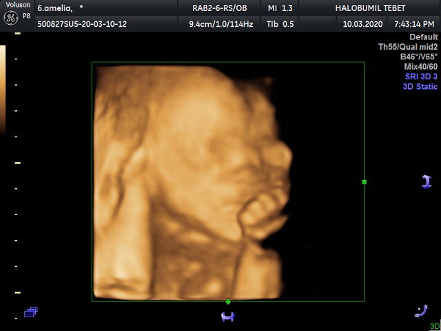 baby ara profile icon