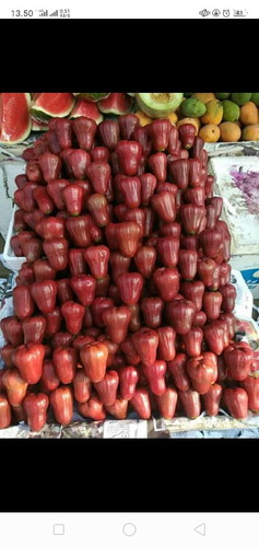 Ada Yang punya Buah ini bunda..???