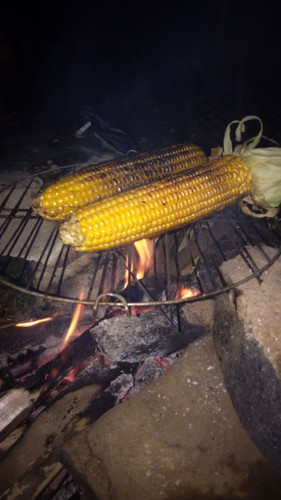 jagung bakar??