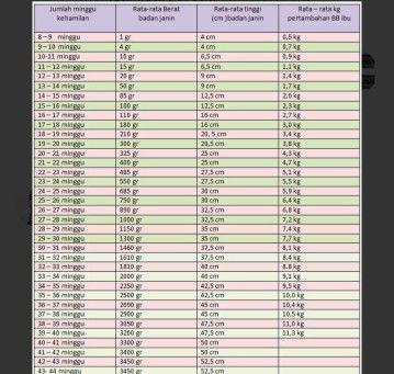 berat badan baby dlam kandungan