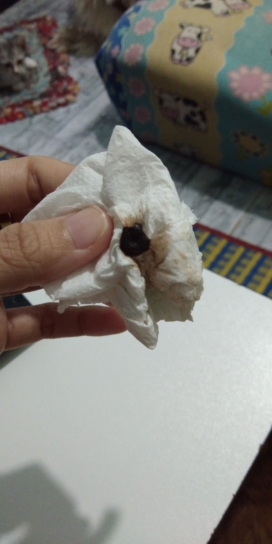 สอบถามหน่อยค่ะ