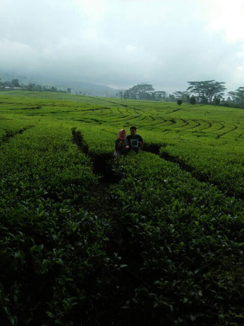 utm2203 profile icon