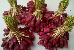 Bawang tiwai/bawang dayak