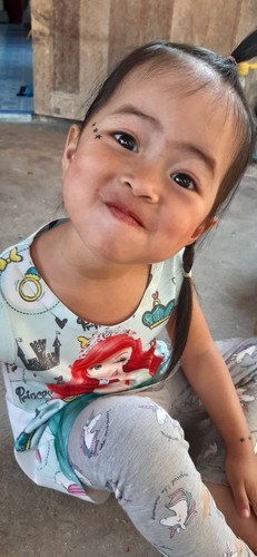 ให้น้องเลิกนมแม่