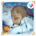 nattinee tolae profile icon