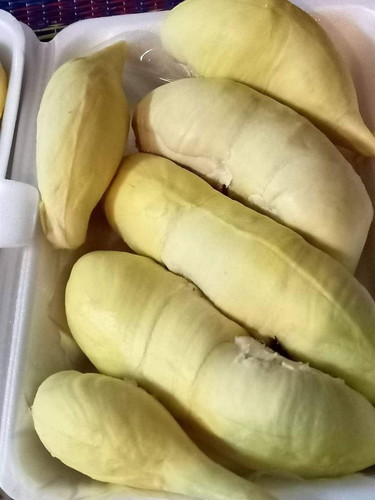 ทุเรียน