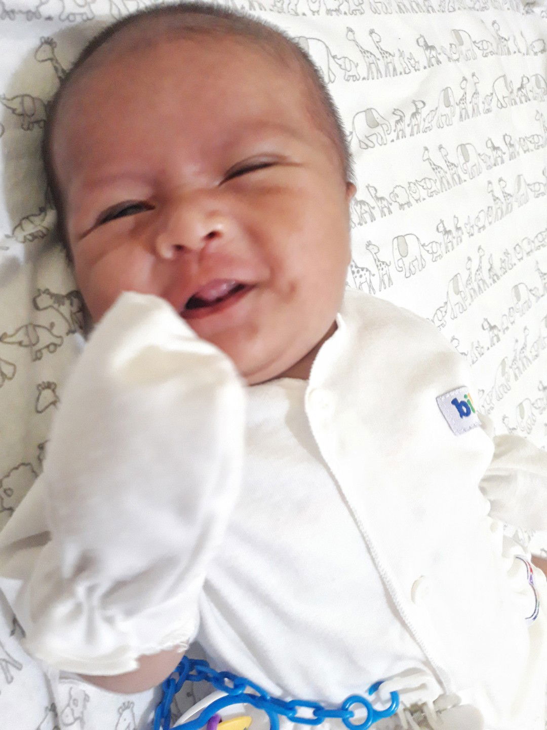 fregelina erny profile icon