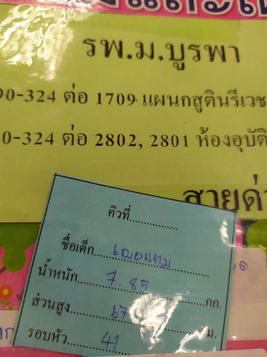 การเติบโต