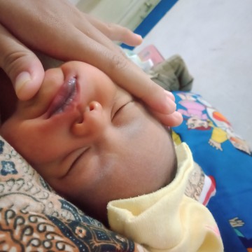 knp ya