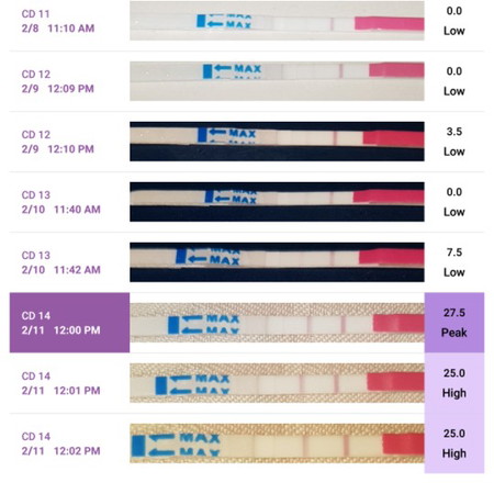 Ovulation test
