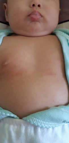 3 bulan setengah