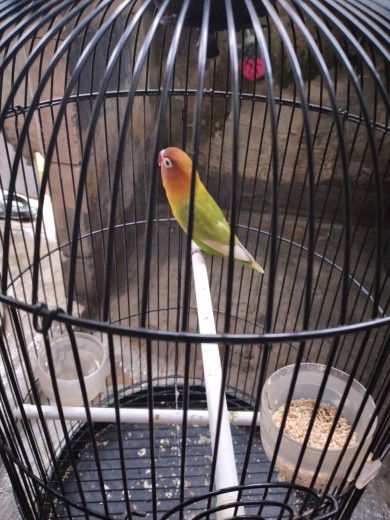 mamah billal profile icon