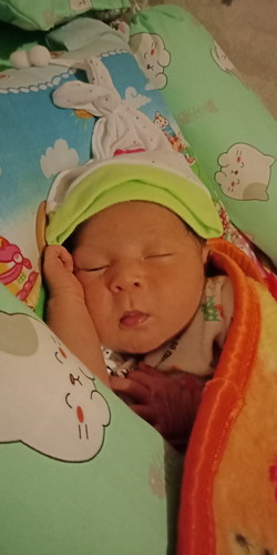 minggu 5 , januari 2020