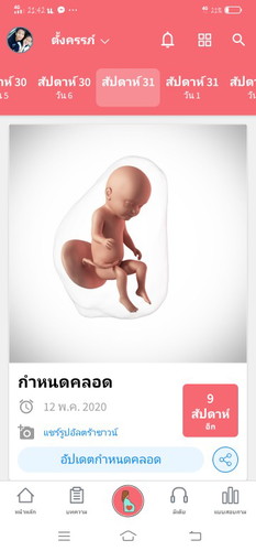 31 w