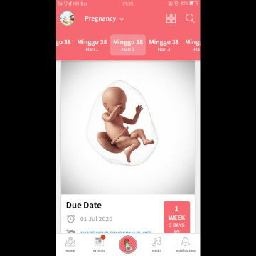 hpl 1 juli belum lahir