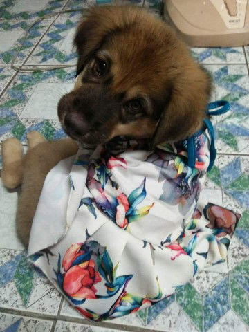 Areerat Nana profile icon