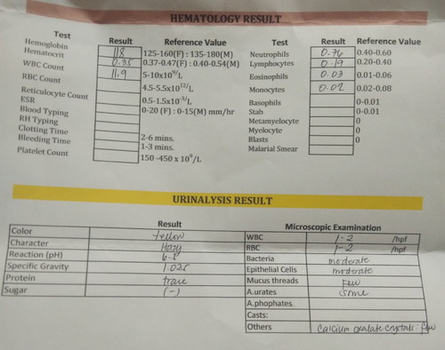 Urinalysis and Hematology result 6months preggy