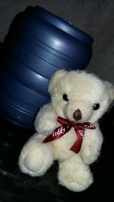 Ani Marlia profile icon