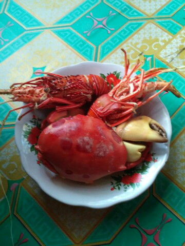 selama hamil bole makan kepiting sama lopster