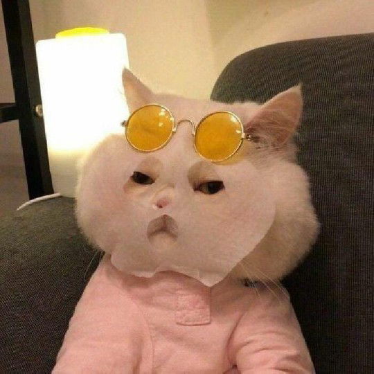 siripan profile icon