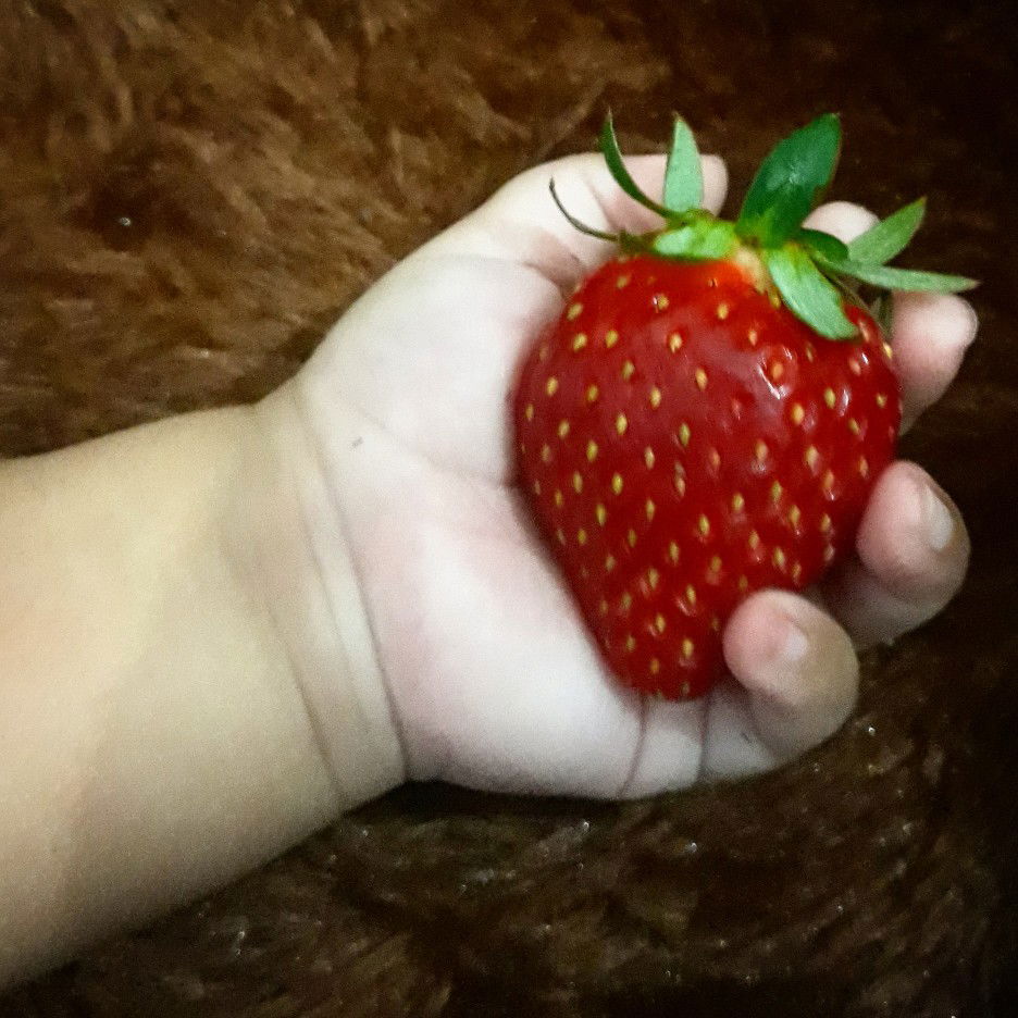 Suciana Faibo profile icon