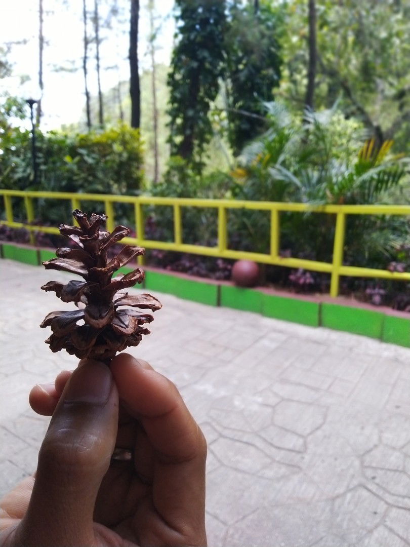 Novanda Lupi profile icon