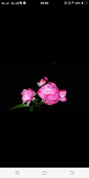 Tri Nuryati profile icon