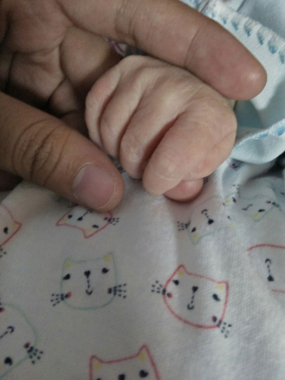 Arlyn Albert profile icon