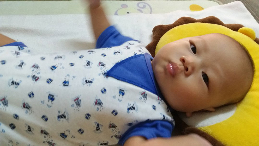 หมูน้อย