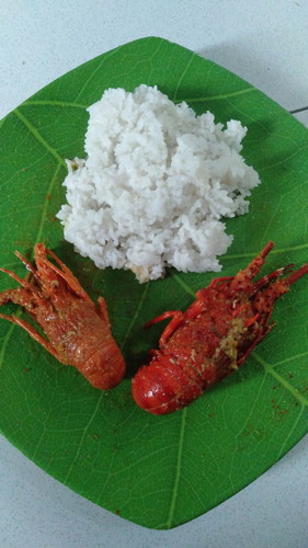 Busui Lapar Terus