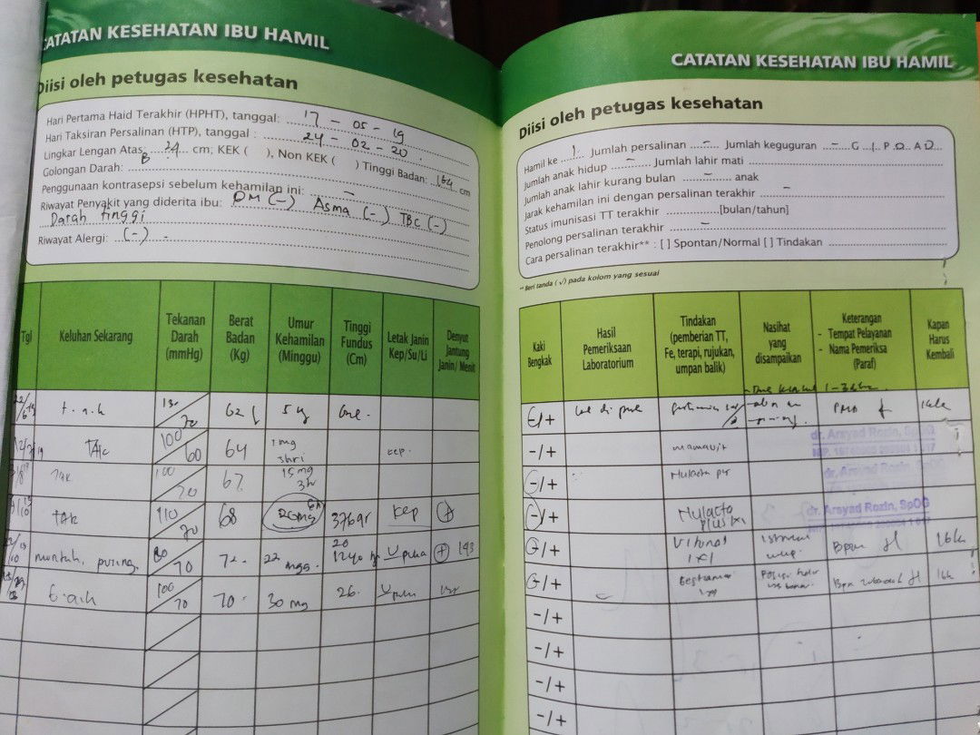 Bb debay minggu 30 5 hari