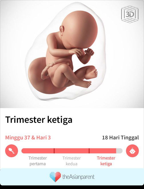 menghitung hari nak bersalin anak pertama
