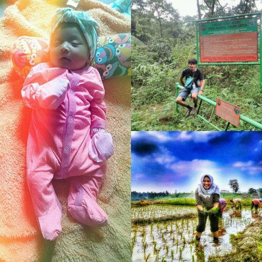 lisa sri veninata profile icon