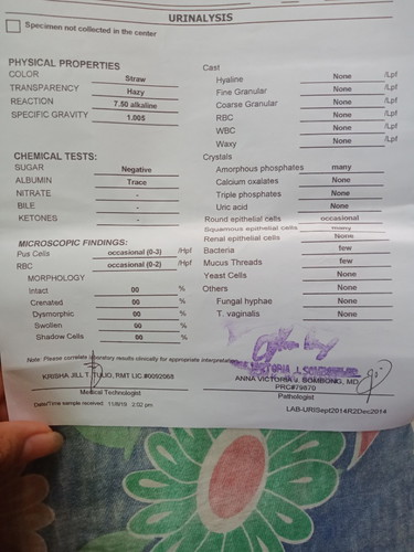 URINALYSIS