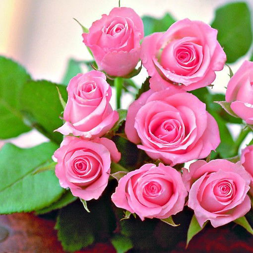 Ai Nurhayati profile icon