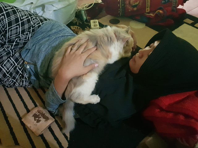 Bukan anonim profile icon