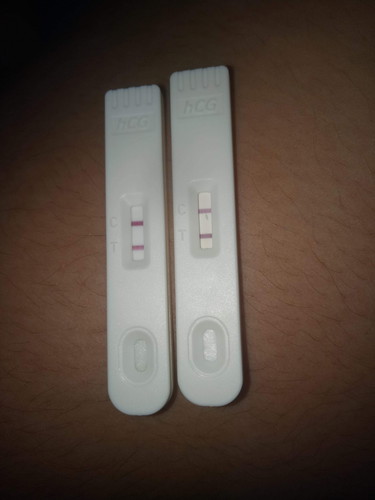 pregnant ??