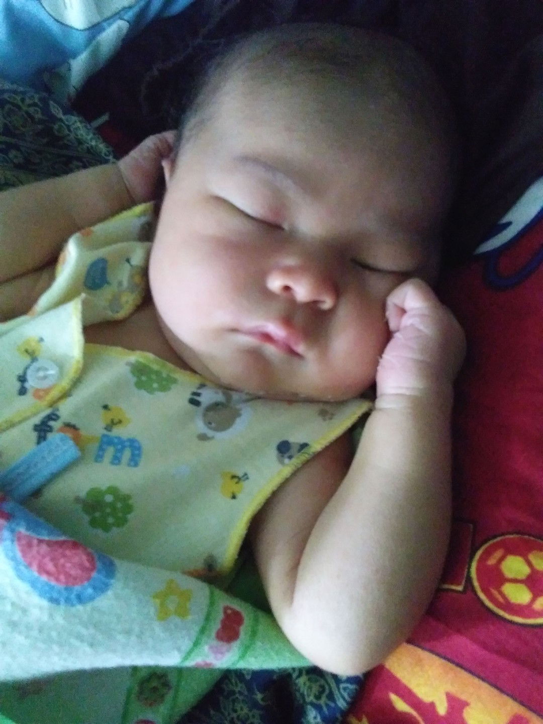 meli amelia profile icon